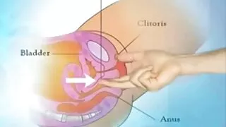 পুরুষ বাংলা sex ভিডিও সমকামী, পায়ু, পোঁদ